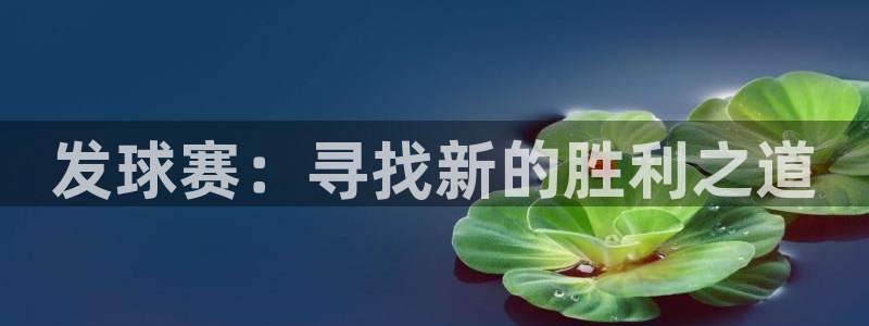  k1体育礼金什么时候可以领：发球赛：寻找新的胜利之道