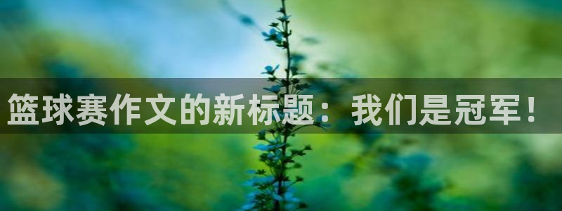  K1体育下载app3519：篮球赛作文的新标题：我们是冠军！