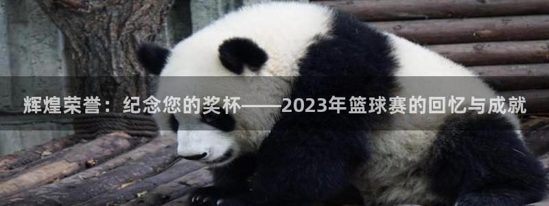  k1体育app下载链接官网：辉煌荣誉：纪念您的奖杯——202