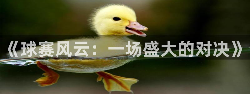  K1体育平台网页版：《球赛风云：一场盛大的对决》