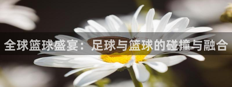  k1体育十年：全球篮球盛宴：足球与篮球的碰撞与融合